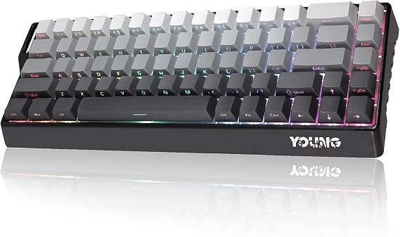 K68 Wireless Mechanical Keyboard, 65% compact layout, Bluetooth/2.4G/USB-C, Hot Swap, RGB Gaming Keyboard with Anti-Ghosting,Ergonomic,for Win/Mac (QWERTY-US) (black)