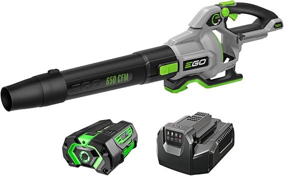 EGO POWER+ Cordless Electric Leaf Blower, 650 CFM, With Battery - LB6504