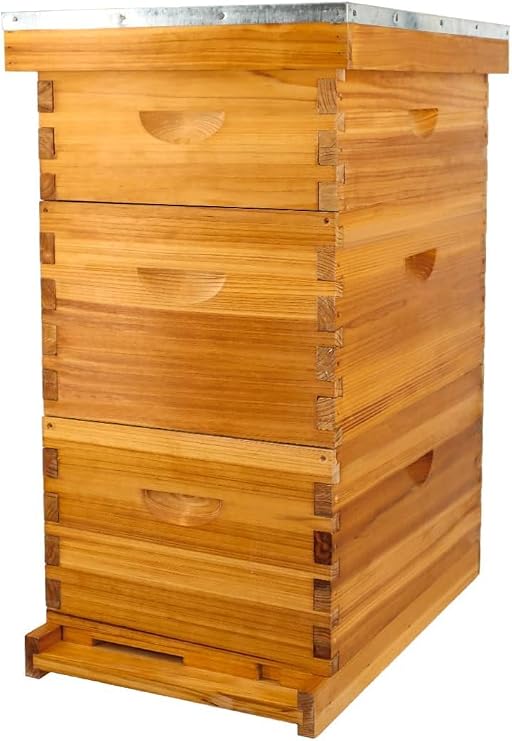 8-Frame Beehive Starter Kit, Langstroth Complete Beeswax-Coated Hive Boxes with Frames & Waxed Foundations, Includes 2 Deep Brood Boxes & 1 Medium Super (Unassembled)