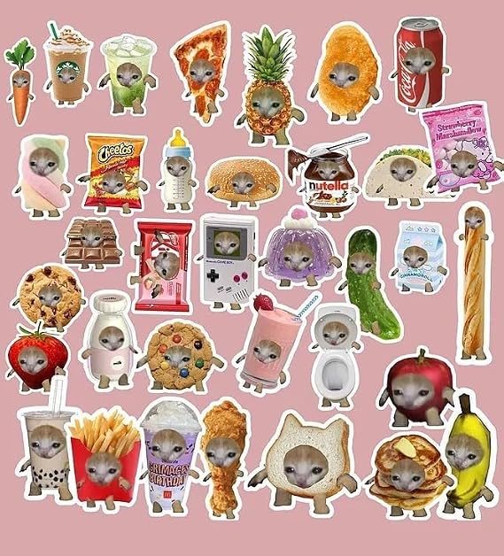 Şapşal kedi Komik kedi sticker paketi/bullet journal defter çıkartma ajanda laptop etiket