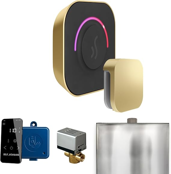 Mr Steam ButlerTouch Steam Shower Ctrl Pkg w/TempoTouch Control and Steamhead in Satin Brass