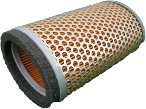 Triumph Air Filter T2201548