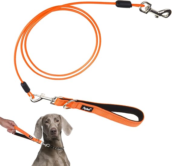 PUPTECK Chew Proof Dog Leash with Steel Cable & Detachable Padded Handle