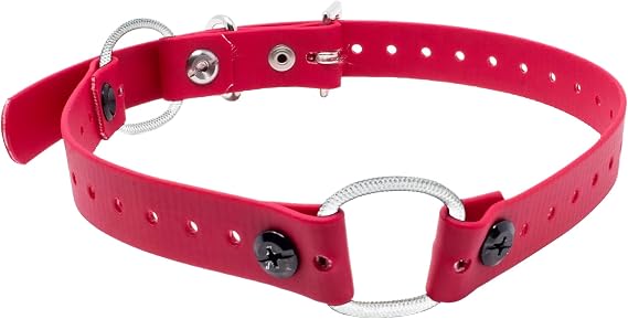 E-Collar Educator 3/4" Double Bungee Biothane Dog Collar, Red | Waterproof & Odor Resistant | Double Comfort Bungee | Metal Buckle & D-Ring | 3/4" Biothane | Red