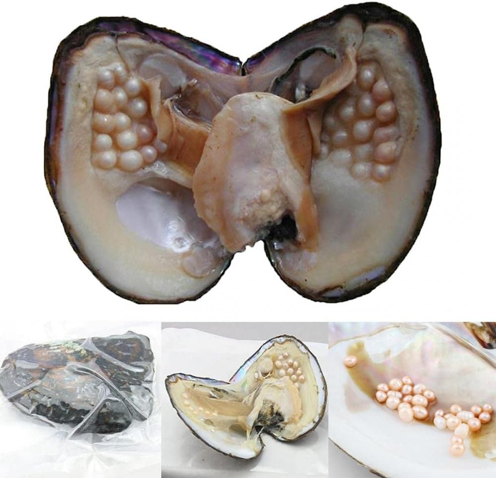 Natural Oyster Pearl, Freshwater Oval Pearls Cultured Oysters Clam Shells, Monster Oysters with Pearls Inside Bulk Real in Oyster, Anniversary Decoration for Jewelry Making Birthday Gifts5-7mm