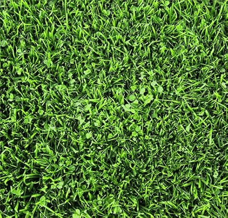 Hancock's Microlawn Seed Mix - 10 lbs.