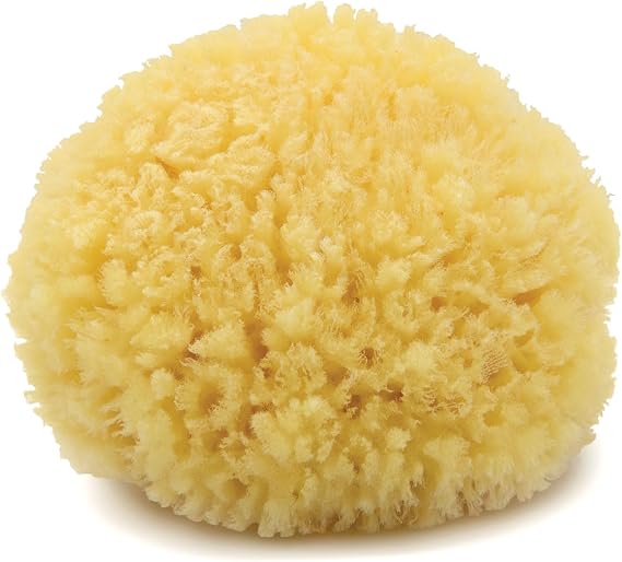 Neptune Caribbean Sea Sponge, Medium, Approx. 5-6 in, Exfoliating | Hand cut so size and shape vary slightly. Eco-friendly, biodegradable, ultra-soft for face and body