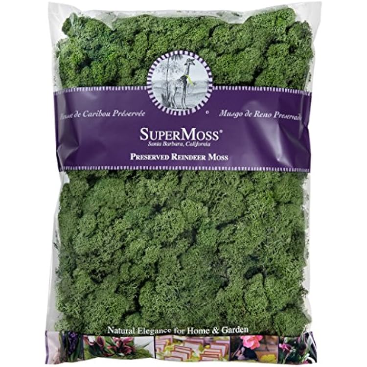 SuperMoss 25154 Reindeer Moss Preserved, Basil, 16 Ounces
