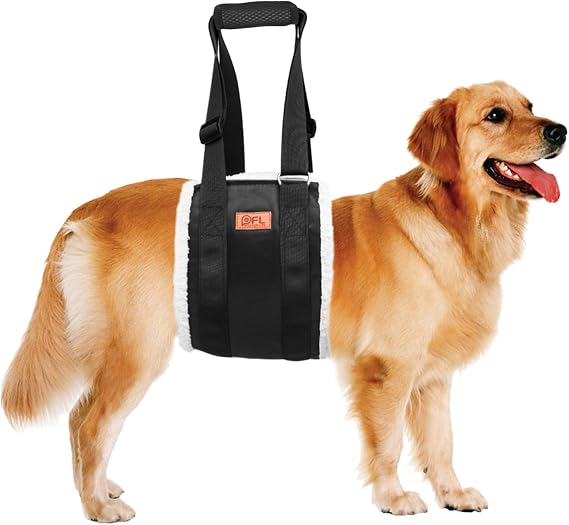 PFL Adjustable Dog Lifting Harness Dog Sling for Back Legs(For Medium Dog) | Support and Rehab Harness for Weak Rear Legs,Soft Sling Assist Dog Senior, Injured, Disabled, Post ACL Surgery Rehabilitation
