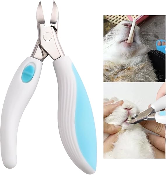 Rabbit Teeth Cutter,Premium Stainless Steel Bunny Tooth Nipper Teeth,5.3inch Tooth Cutter Scissor Sharp and Fast, Safe for Rabbits,for Guinea Pig Chinchilla Bunny Other Small Animals.(Blue)