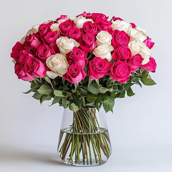 GlobalRose 50 Fresh Cut Roses - 25 Hot Pink & 25 White - Fresh Flowers Bouquet - Flowers for Anniversary