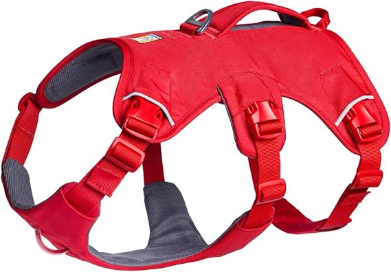 Ruffwear Web Master Dog Harness, Y-Front Dog Harness with Handle & Improved Buckle, Adjustable & Lightweight for Walks & Hikes, Anti Escape, No Pull, Breathable & Comfy, Red Canyon, Medium