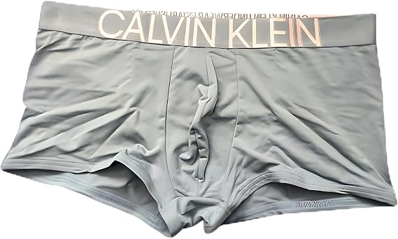 Calvin Klein Statement 1981 Microfiber Low Rise Trunks (US, Alpha, X-Large, Regular, Regular, Grey)