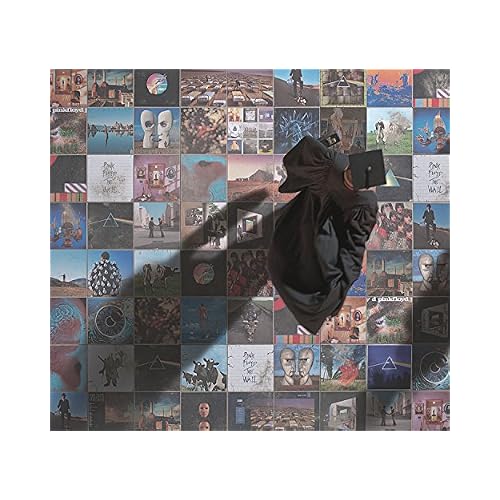 A Foot in the Door: The Best of Pink Floyd