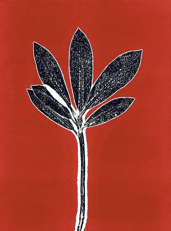 Red 10 Poster Print - Studio MMB (24 x 36)