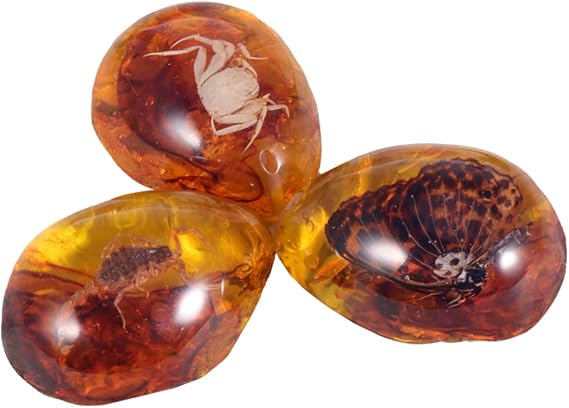 3pcs Insect Specimen Amber Real Bug with Insect Amber Sample Amber Insect