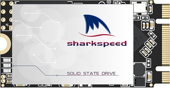 SSD 1TB M.2 2242 NGFF Plus Internal M2 SSD 3D NAND SATA III 6 Gb/s, Solid State Drive for Notebooks Desktop PC (M.2 2242 1TB)