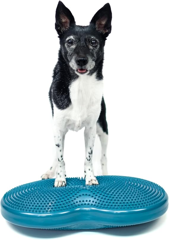 FitPaws Duo Disc Training Platform | Dog Exercise Equipment | Workout Tool for Strength, Core, Stability & Rehabilitation