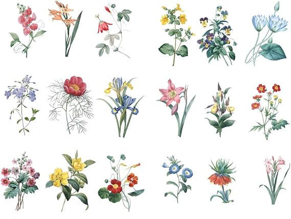Seasonstorm Fresh Flower Floral Aesthetic Diary Travel Journal Paper Stickers Scrapbooking Stationery Sticker Flakes Art Supplies (PK437)