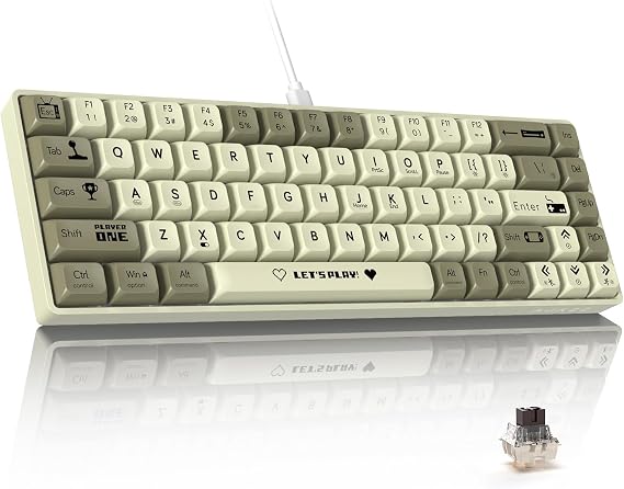 ATTACK SHARK AK680 60% Wired Mechanical Gaming Keyboard,Hot-Swappable,RGB Rainbow Backlit,UV Printing and EVA Sound Control,Fully Anti-Ghosting,Programmable,Brown Switch for Windows/Mac Grey&White