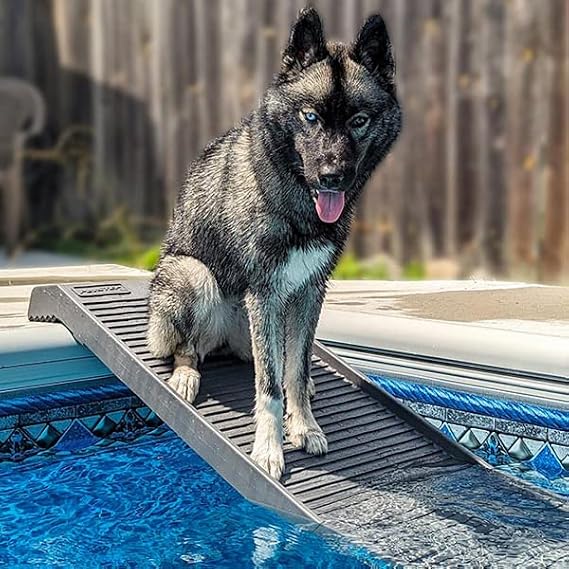 PetStep Pool Ramp for Dogs - (Standard Legs, Graphite/Gray) - Small and Large Dog Pool Ramp for Above-Ground and In-Ground Pools