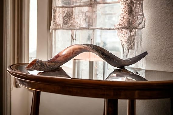 Extra Large Authentic Yemenite Kudu Shofar - 40"-42" Half Polished, Half Natural Finish - Includes Anti-Odor Spray, Carrying Bag & Blowing Guide by Yaliland