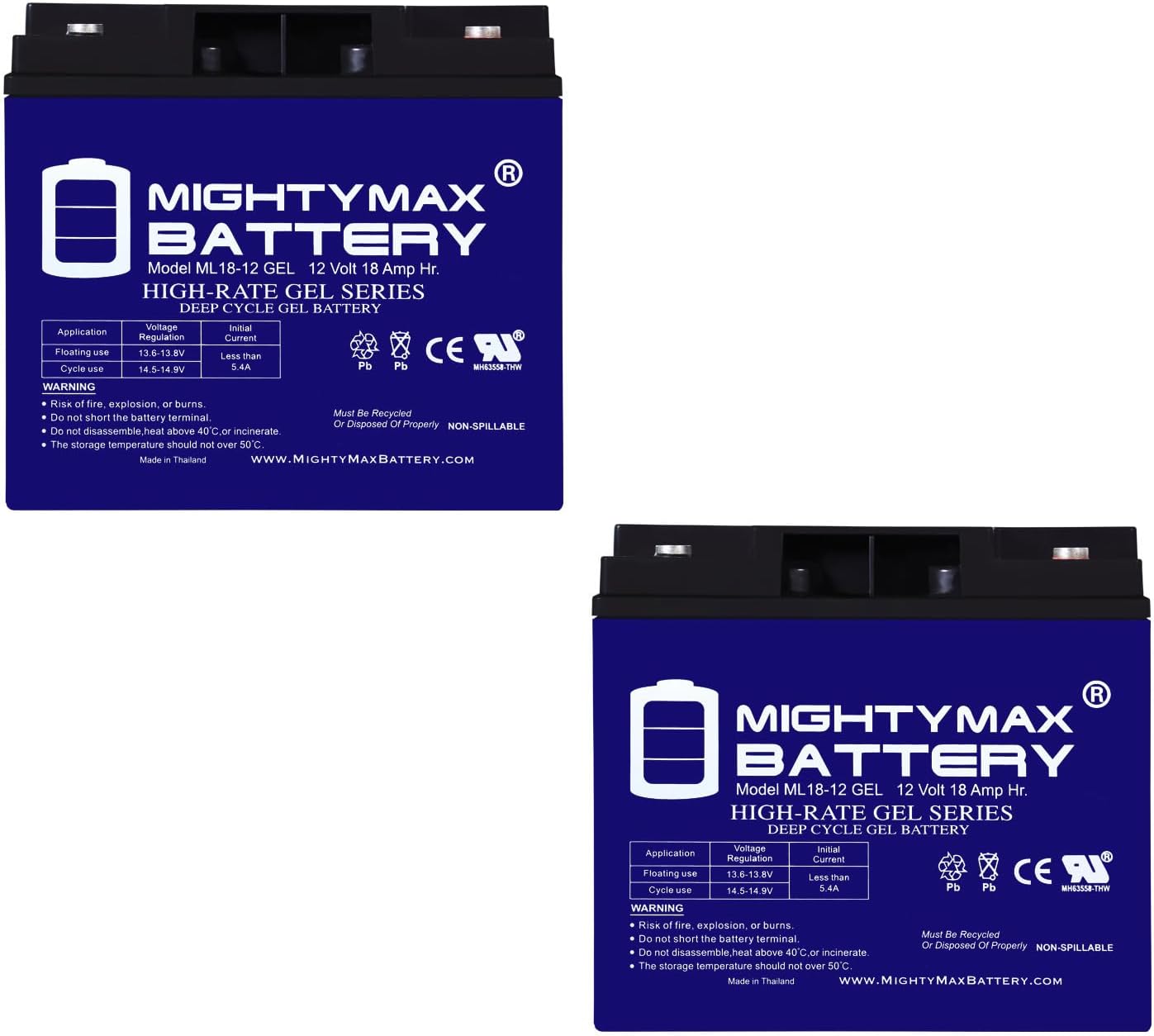 Mighty Max Battery 12V 18AH GEL Replacement Battery compatible with Interstate BSL1116-2 Pack