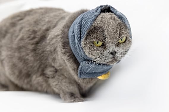 Cat Ear Wrap for Healing & Scratch Stop Grey