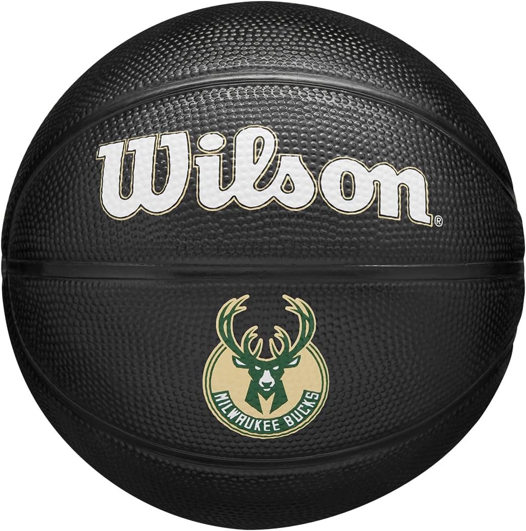 WILSON NBA Team Tribute Mini Basketball