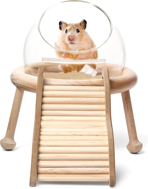 Hamster Sand Bath Kit,360 Viewing Container Space Capsule,Glass Bathing Bowl With Wooden Ladder Detachable and Washable for Small Pet Animals Cage Accessories