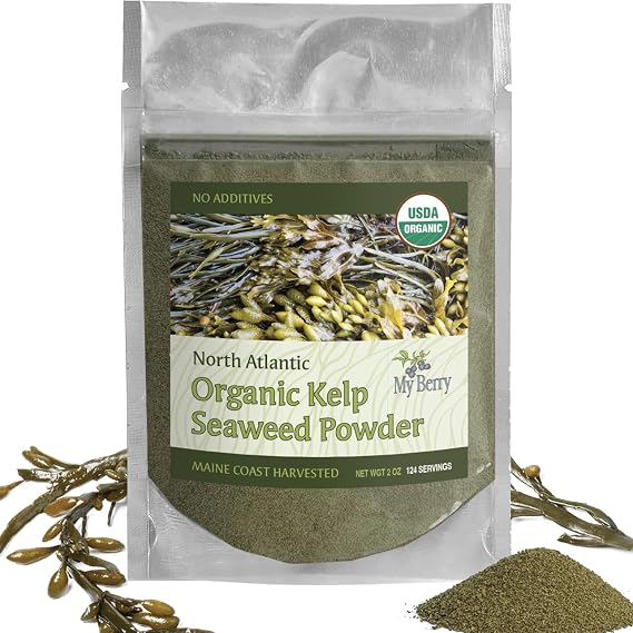 Organic Maine Coast Kelp Seaweed Powder 2oz by My Berry | Dark Green, Fresh Kelp Only | (Ascophyllum Nodosum) | US Atlantic Ocean Grown