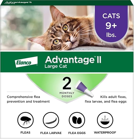 Advantage II Large Cat Vet-Recommended Flea Treatment & Prevention | Cats Over 9 lbs. | 2-Month Supply