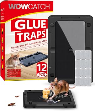 Wowcatch Sticky Mouse Traps Indoor for Home - 12 Pack Glue Traps for Roaches, Spider, Lizard, Rodent Catcher for Kitchen, Garage, Glue Boards for Insects, Pet Safe Pest Control, Non-Toxic, Small Size