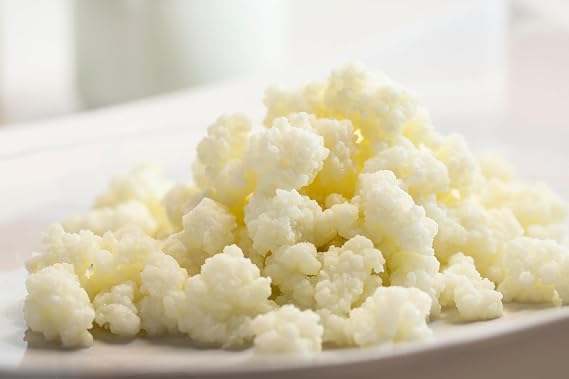 15g Organic Certified Milk Kefir Grains (UKAS Lab Tested) by Kombuchaorganic®