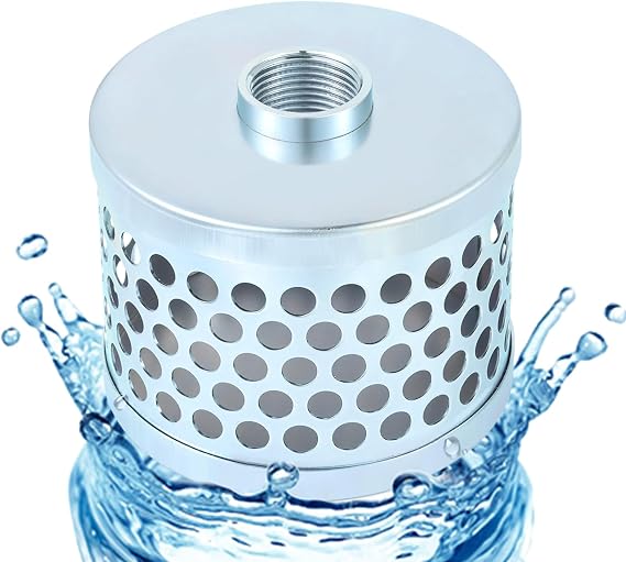 Carbon Steel Round Hole Suction Strainer Filter for Water Pumps - 1 inch