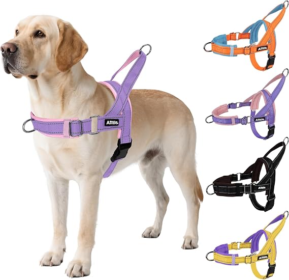 AIITLE No Pull Small Dog Harness with Soft Padded Handle, Purple-Pink-S | Neck & Chest Adjustable, Reflective Strips, Escape Proof and Quick Fit, Easy for Walking Training Running for Small Dogs