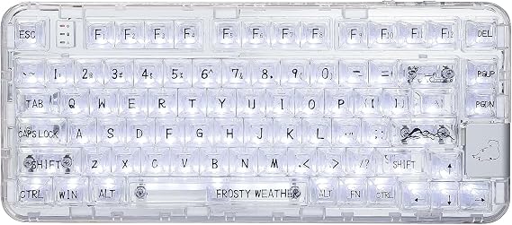 CoolKiller CK75 Transparent Mechanical Keyboard, Rechargeable Wireless Gaming Keyboard with RGB Backlit, Hot Swappable, Gasket Structures for Windows/Mac, 75% Design (White, Ice Linear Switches)