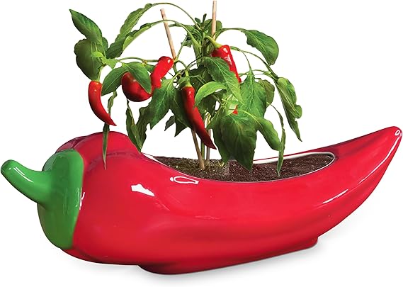 Red Hot Chili Planter – Glazed Ceramic Chili Pepper Plant Pot for Indoor Gardening – Fun & Spicy Gift for Plant Parents and Chili Lovers – Unique Indoor Planter for Herbs, Houseplants & Peppers