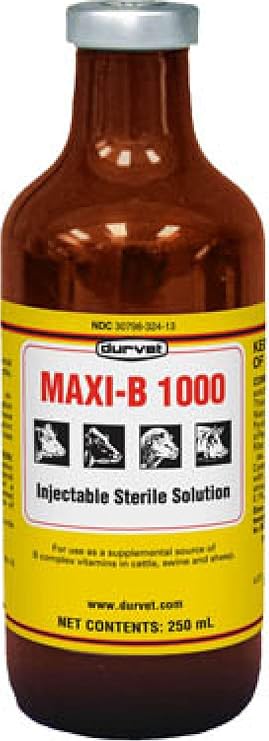 Maxi-B 1000