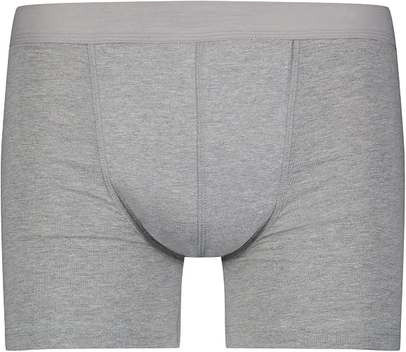 Wearever Men's Incontinence Boxer Brief - Bladder Control, Regular Absorbency, Reusable, Leak Proof 150 ml (Single Pair)