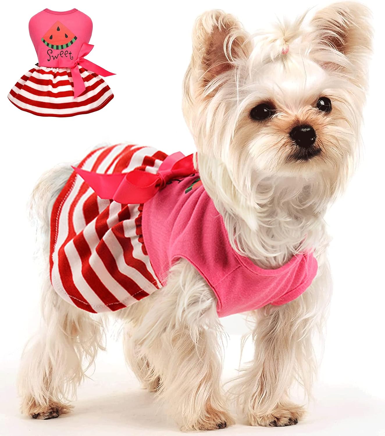 Watermelon Girl Dog Dress, Summer Female Dog Clothes for Small Dogs Girl, Pet Outfits Cat Apparel, Pink, S