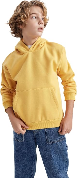 DeFacto Boys' Regular Fit Hooded Sweatshirt