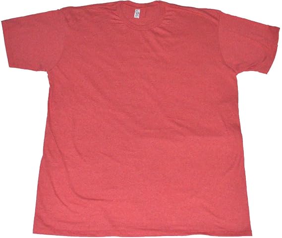 AAA Alstyle Men's Solid Plain Tshirt Pack of 6 T Shirts Large