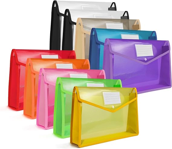 HOUYEE 10Pcs Plastic Expanding File Folder with Snap Closure,Large Capacity