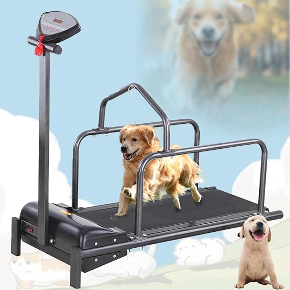 Pet Treadmill, Dog Treadmill for Small Dogs, with LCD Display and Control Adjustable Speed for Pet Exercise, Pet Running Machine with a Safety Fence, Capacity of 80kg