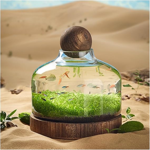 Fish Bowl Fish Tank Glass Bottle Ecological Culture Micro Landscape Self-circulating Small Plant Tank with Wooden Base Desktop Ornaments Aquariums(Medium)