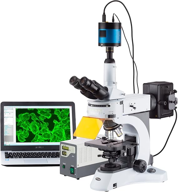 AmScope FM820T-MF603 1000X Upright Fluorescence Microscope with Rotating