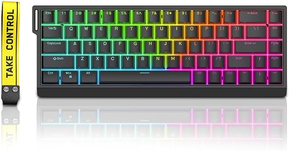 HE65 Rapid Trigger Gaming Keyboard,65% Magnetic Switch Hall Effect Keyboard Hot Swap Custom RGB Hyper-Fast Adjustable Actuation Wired Compact Mechanical Keyboard,8K Hz Polling Rate (Black)