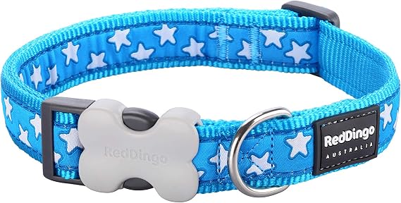 Red Dingo Bucklebone Dog Collar Design, Stars White on Turquoise, Medium 20mm