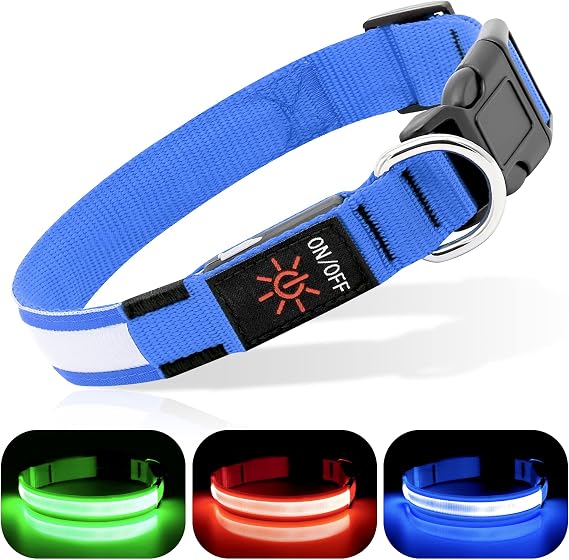 BSEEN Light Up Dog Collar - Reflective LED Dog Collar, Waterproof Glow in the Dark Dog Collars, Rechargeable Dog Lights for Night Walking (Royal Blue, Small)